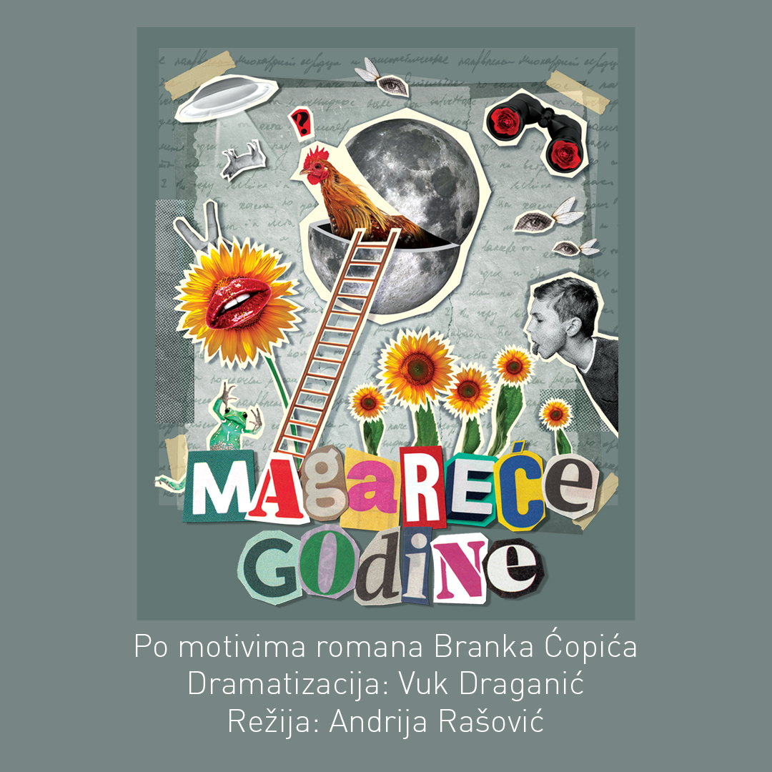 Magareće godine